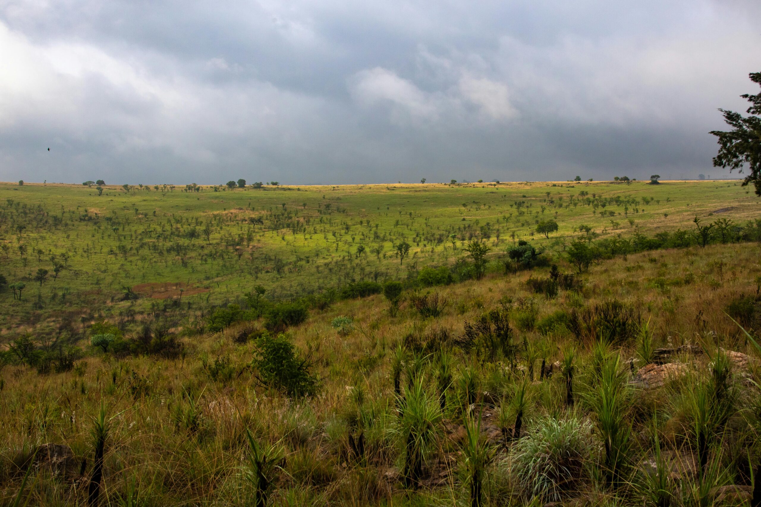 A vast, serene countryside landscape with lush fields under dramatic, cloudy skies, capturing nature's tranquility.